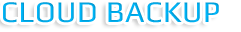 WANSecurity provides remote backup services with encrypted storage options at multiple datacenter locations throughout the globle.